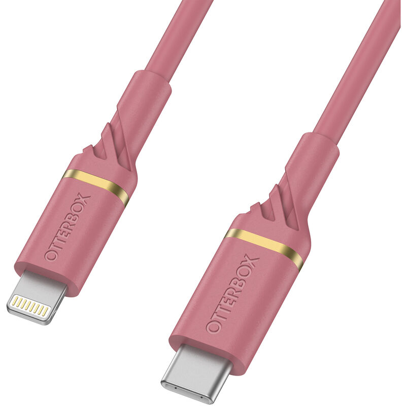 product image 1 - Lightning a USB-C Carga Rápida Cable | Estándar